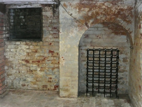 Cellar with mould present